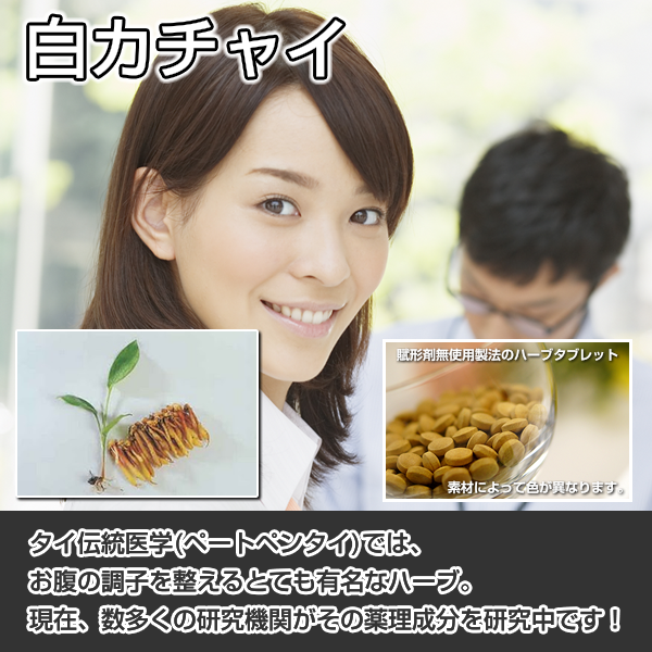 白カチャイ:胃腸,ピロリ菌対策