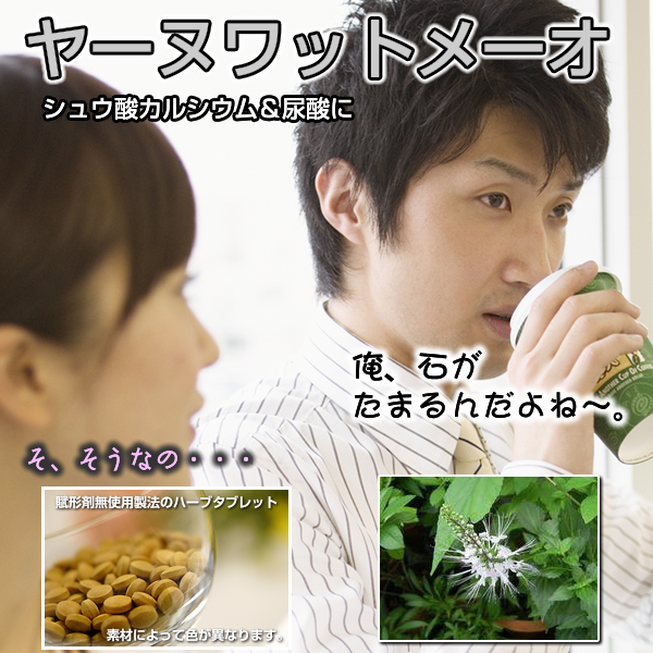 ヤーヌワットメーオ:クミスクチン(猫髭草)結石,シュウ酸カル