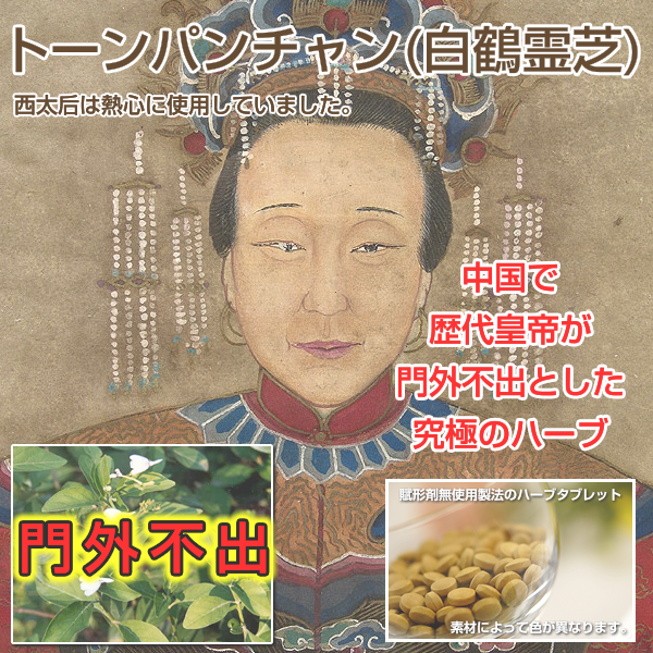 トーンパンチャン:白鶴霊芝:肝炎,糖尿病,高血圧など、中国歴