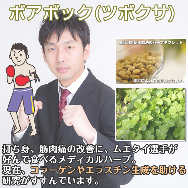 ボアボック:ツボクサ:打ち身や内出血だけじゃない!コラーゲン