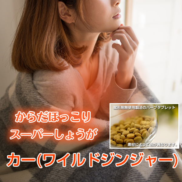 カー:胃腸の調子を整えて身体を暖めるスーパーしょうが(ワイル