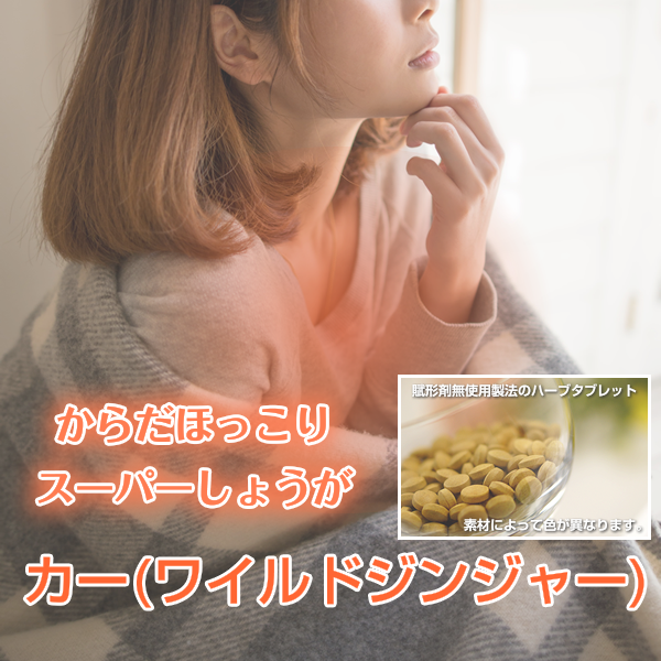 カー:胃腸の調子を整えて身体を暖めるスーパーしょうが(ワイル