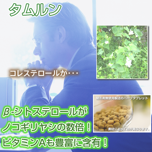 タムルン:血糖値,コレステロール,前立腺