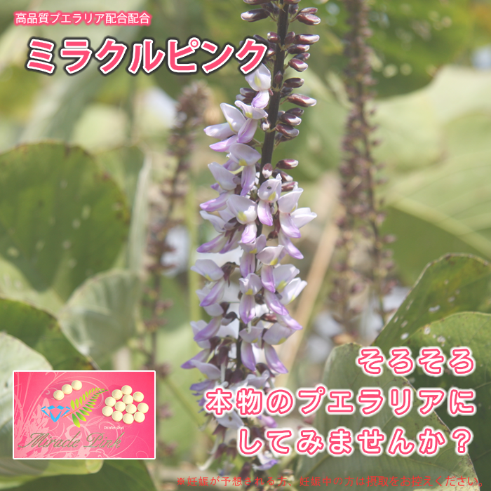 ミラクルピンク:超高品質プエラリア&ワーンチャックモッルーク配合(更年期,ホットフラッシュ,イライラ,生理不順,美白,体臭,口臭,オリモノ臭対策)