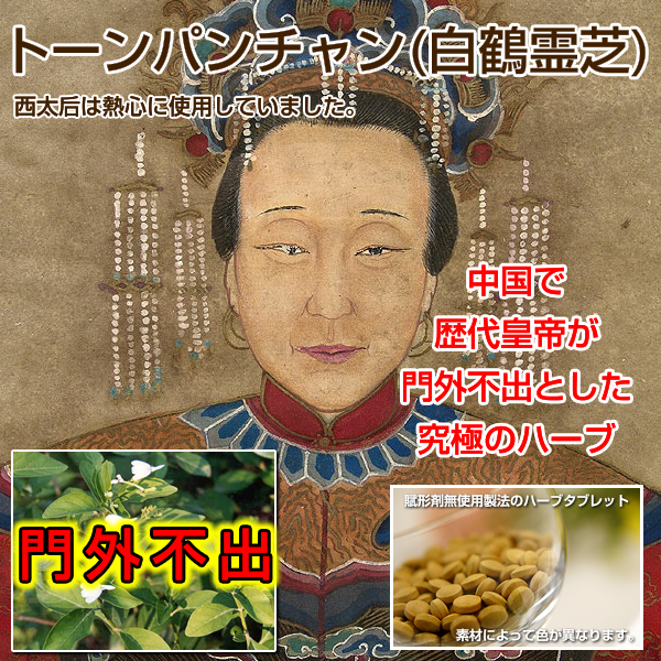 トーンパンチャン(白鶴霊芝)-ハッカクレイシ-