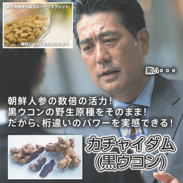カチャイダム(黒ウコン)