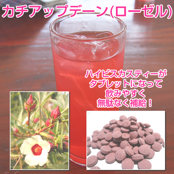 カチアップデーン(ローゼル原種)