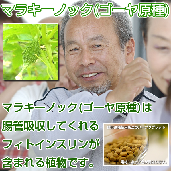 ゴーヤ原種:マラキーノック:フィトインスリン含有,血糖値,糖