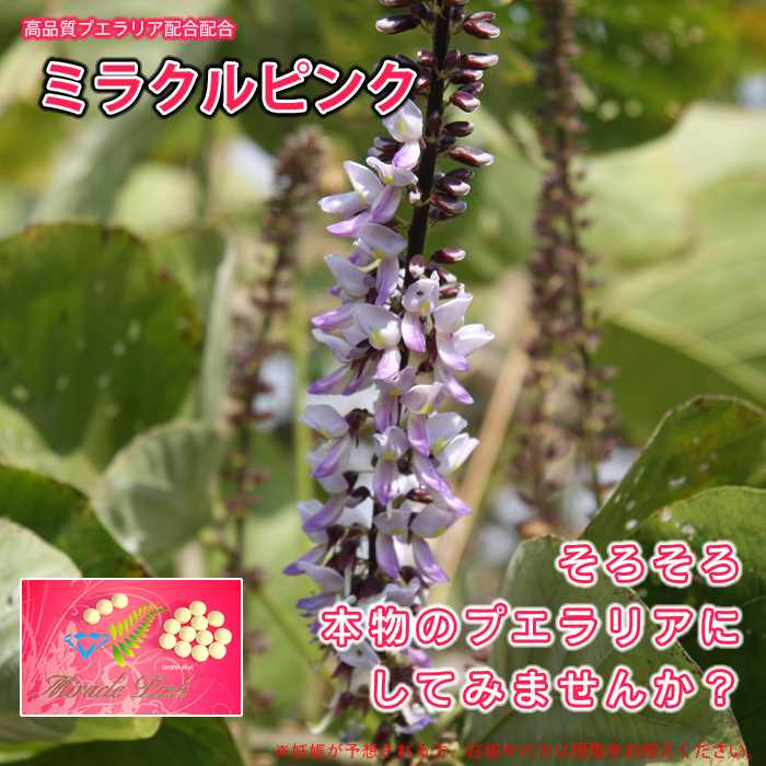 ミラクルピンク:超高品質プエラリア&ワーンチャックモッルーク配合(更年期,ホットフラッシュ,イライラ,生理不順,美白,体臭,口臭,オリモノ臭対策)